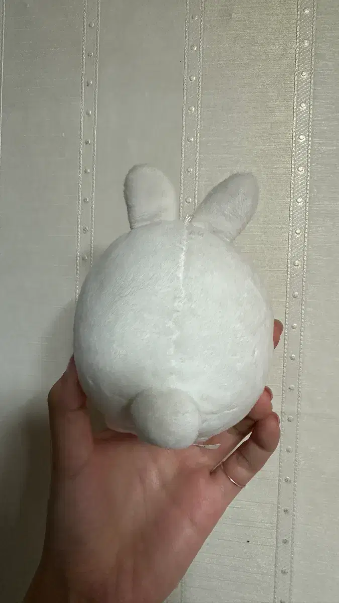 thumbnail-5